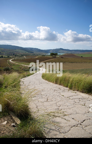 Planeta Estate Winery, l'Ulmo , situé près de Sambuca di Sicilia, Italie Banque D'Images