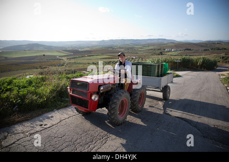 Planeta Estate Winery, l'Ulmo , situé près de Sambuca di Sicilia, Italie Banque D'Images