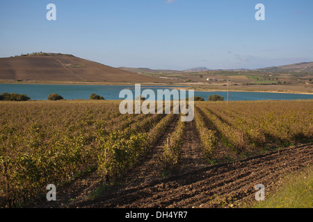 Cave de vinification Planeta, domaine Ulmo, située près de Sambuca di Sicilia, Italie Banque D'Images