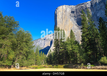 El Capitan, Yosemite National Park, Californie Banque D'Images