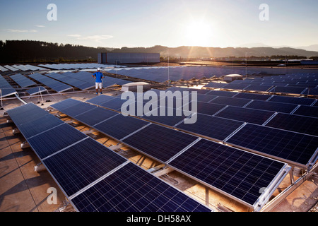 L'usine d'énergie solaire avec le rétroéclairage, Wollsdorf, Weiz District, Styrie, Autriche Banque D'Images