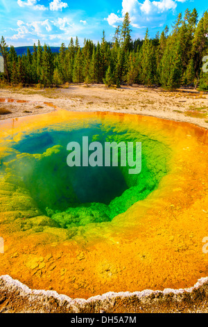 Morning Glory Pool, Yellowstone National Park, Upper Geyser basin, Wyoming Banque D'Images