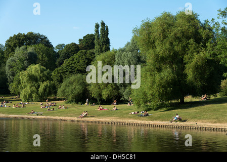 Dans les étangs de Highgate Hampstead Heath, London, England, UK Banque D'Images