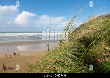 L'herbe des dunes de sable de plage à Mawgan Porth beach à Cornwall Banque D'Images