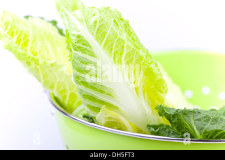 Close up photo de salades dans une passoire Banque D'Images