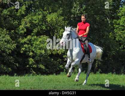 Les jeunes femmes tours pour un hack sur le cheval dans la campagne à l'heure d'été Banque D'Images