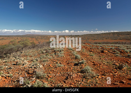 Vue imprenable sur de vastes paysages de l'outback avec Red Road menant à travers les plaines arides de Stony Hill à horizon lointain dans SA Banque D'Images