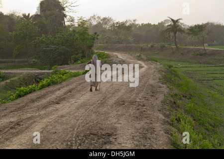 Vieille Femme avec un bâton de marche à pied le long d'un chemin de terre dans la lumière du soir, Magura, district de Khulna, Bangladesh, en Asie du Sud Banque D'Images