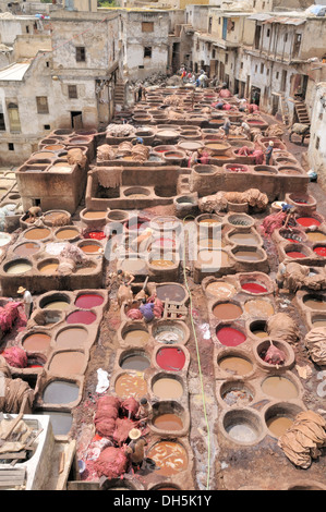 Des tanneurs et des teinturiers' trimestre Chouwara de Fès El Bali, la médina de Fès, Maroc, Afrique Banque D'Images