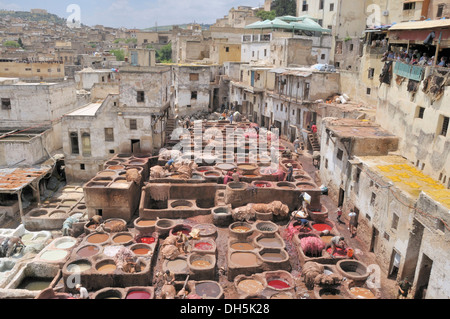 Des tanneurs et des teinturiers' trimestre Chouwara de Fès El Bali, la médina de Fès, Maroc, Afrique Banque D'Images