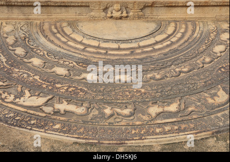 En face de la lune de reliefs des mesures à l'Mahasena Palace, Pancavasa, Anuradhapura Banque D'Images