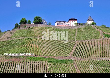 Marienburg près de Puenderich, district Cochem-Zell, Rhénanie-Palatinat Banque D'Images