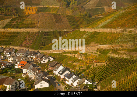 Village de vin Dernau an der Ahr, vignobles dans la vallée de l'Ahr, où le vin rouge raisins des variétés de Pinot Noir et de Portugais Banque D'Images