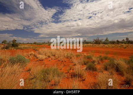 Paysage avec chemin de terre rouge longue de l'Œil par découpage de la route plaines d'Australie Territoire du Nord paysage Banque D'Images