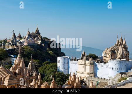 Temple complexe sur la sainte montagne de Shatrunjaya, important lieu de pèlerinage pour les fidèles du jaïnisme, l'un des quatre plus Banque D'Images