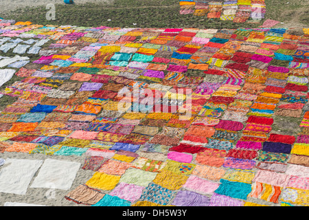 Saris colorés portant pour sécher après lavage sur un banc sur les bords de la rivière Yamuna, Agra, Yamuna, Uttar Pradesh, Inde Banque D'Images