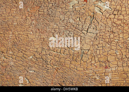 Vue de dessus de l'ancien fond fissuré Banque D'Images