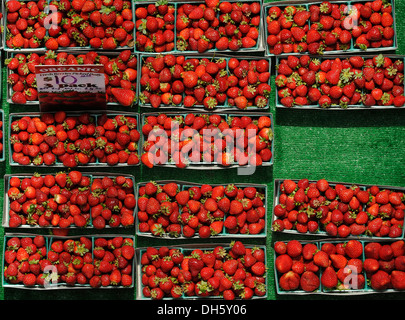 Les ventes de fruits, les fraises biologiques au marché de fermiers, Crocker Galleria, du quartier financier, San Francisco, Californie Banque D'Images