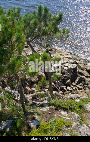 Parc national pittoresque Fjord du Saguenay Saguenay Québec Canada Banque D'Images