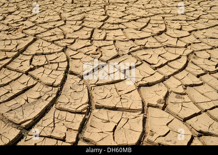 Le manque d'eau, boue fissures dans un trou d'eau asséchés, Painted Desert, réserve Hopi, Navajo Nation Réservation, Arizona Banque D'Images