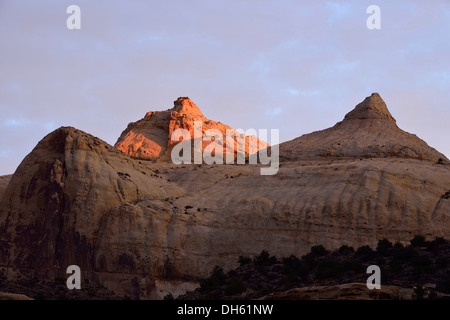Dome Navajo plateau dans la lumière du matin, Capitol Reef National Park, Utah, USA Sud-ouest Banque D'Images