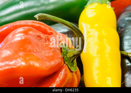 Une sélection de hot chili peppers (Scotch Bonnet, jalapeno, Fresno, néerlandais) Banque D'Images