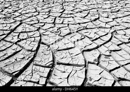 La boue fissuré dans un trou d'eau asséchés, Painted Desert, réserve Hopi, Navajo Nation, Arizona, au sud-ouest de Réservation Banque D'Images