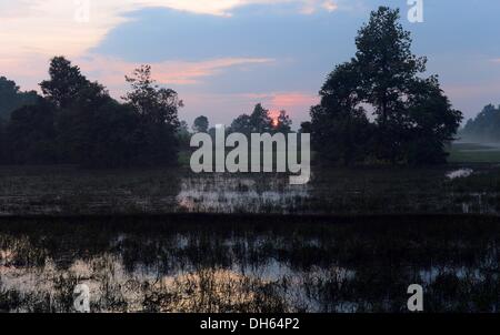 Siem Reap, Cambodge. 13 Oct, 2013. Coucher du soleil à Siem Reap, Cambodge, 13 octobre 2013. Photo : Jens Kalaene/dpa/Alamy Live News Banque D'Images