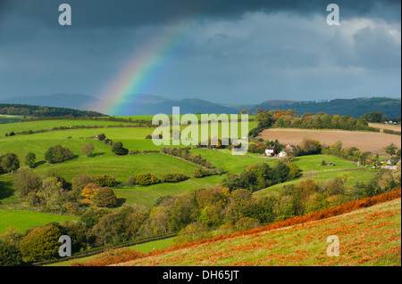 Arc-en-ciel sur l'automne chêne rond dans le Shropshire hills vu Hopesay, commune de l'Angleterre. Banque D'Images