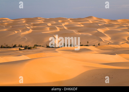 Um El Ma Oasis et dunes de sable, Désert de Libye, Maroc, Sahara, Afrique du Nord, Afrique Banque D'Images