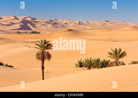 Um El Ma oasis, dattiers (Phoenix sp.) et de l'Ubari dunes de sable, Désert de Libye, Maroc, Sahara occidental, l'Afrique Banque D'Images