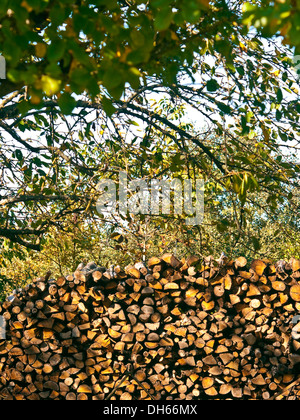 Grande pile de coupé et fendu grumes de chêne, bois de chauffage - France. Banque D'Images