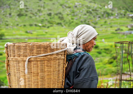 Femme âgée avec panier à Mana village, Inde Banque D'Images