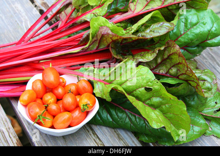 Les tomates cerise et la bette à carde Banque D'Images