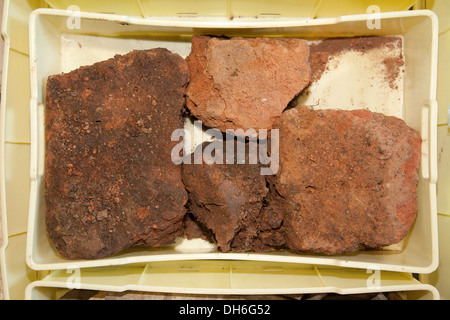 L'Europe, Italie, Toscane, Vetulonia, musée archéologique, pièces étrusques, provenant de la domus dans location poggiarello renzetti Banque D'Images