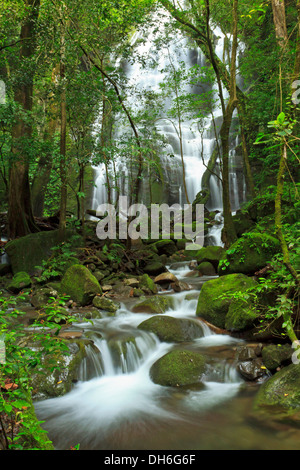 Cascade de saison vu à travers la forêt du Rincón de la Vieja National Park, Costa Rica Banque D'Images