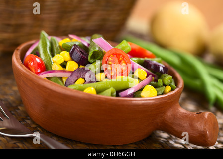 Couleur fraîche salade végétarien fait de haricots verts, tomates cerises, maïs doux, olives noires et oignons rouges dans le bol rustique Banque D'Images