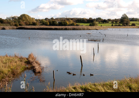 Pool Flash Upton, Warren Réserve Naturelle, Worcestershire, Angleterre, RU Banque D'Images