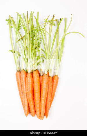 Légumes Carottes avec feuilles isolées sur fond blanc dentelle Banque D'Images