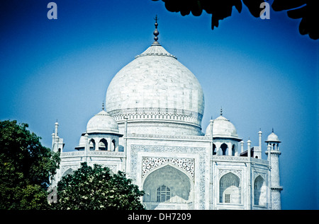 Taj Mahal, Agra, Inde Banque D'Images