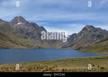 Lago Querococha, Cordillera Blanca, Huaraz, Pérou Banque D'Images