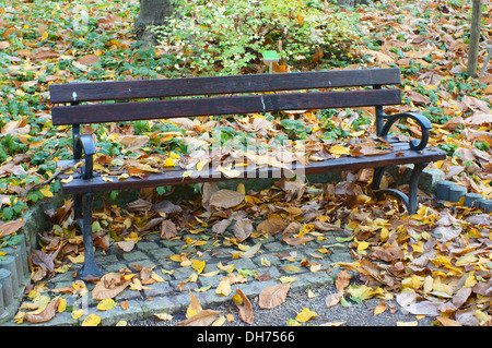 Seul banc de parc en automne les feuilles tombées Banque D'Images