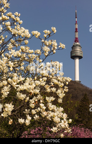 Vue de La Tour N de Séoul de Namsan au printemps, Séoul, Corée Banque D'Images