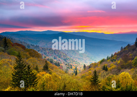 Matin d'automne dans les Smoky Mountains National Park. Banque D'Images