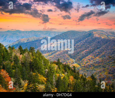 Matin d'automne dans les Smoky Mountains National Park. Banque D'Images