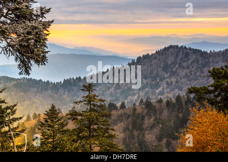 Matin d'automne dans les Smoky Mountains National Park. Banque D'Images