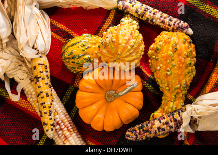 Décorations de saison automne Still Life Banque D'Images