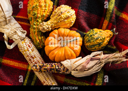 Décorations de saison automne Still Life Banque D'Images