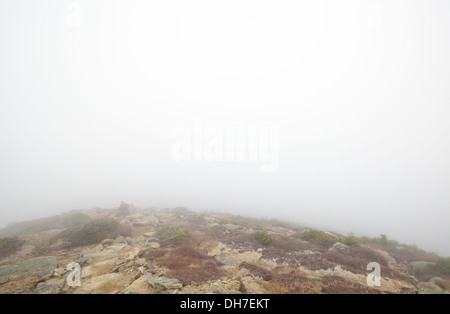 Conditions de brouillard le long de l'Appalachian Trail (Franconia Ridge Trail) sur Fracnonia Ridge dans les Montagnes Blanches du New Hampshire, USA. Banque D'Images