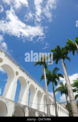 Lapa Arches Rio de Janeiro Brésil sous ciel bleu lumineux tropicaux avec des palmiers Banque D'Images